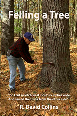 Book cover for Felling a Tree by R. David Collins